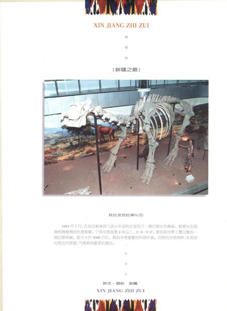 新疆画报1998年第01期.pdf电子版_新疆维吾尔族自治区志插图1