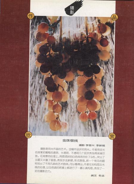 新疆画报2000年第02期.pdf电子版_新疆维吾尔族自治区志插图1