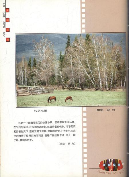 新疆画报2001年第01期.pdf电子版_新疆维吾尔族自治区志插图1