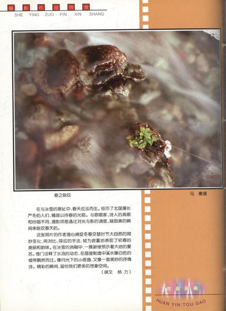 新疆画报2001年第03期.pdf电子版_新疆维吾尔族自治区志插图1