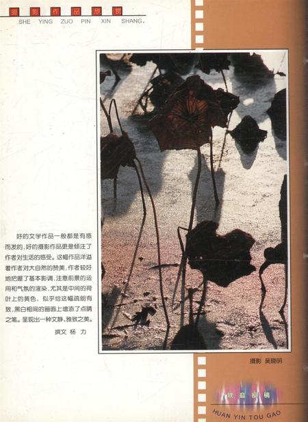 新疆画报2001年第04期.pdf电子版_新疆维吾尔族自治区志插图1