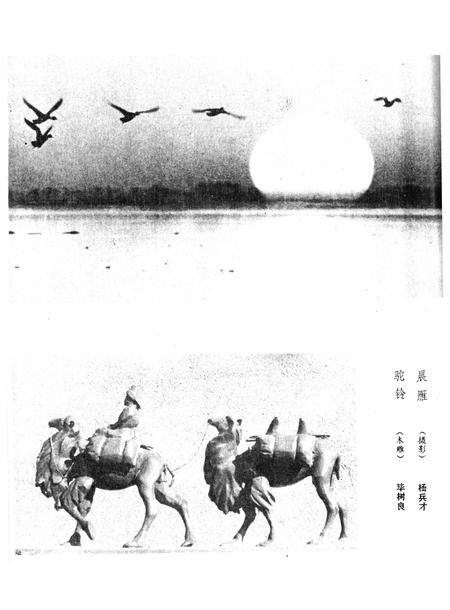 新疆绿洲1982年第02期.pdf电子版_新疆维吾尔族自治区志插图1