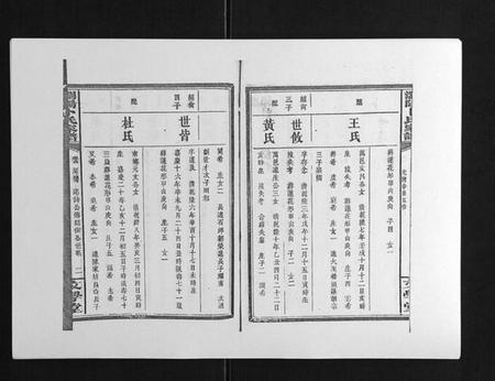 湖南卜氏族谱-浏阳卜氏家谱[16卷首1卷].pdf电子版插图2