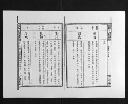 湖南卜氏族谱-浏阳卜氏家谱[16卷首1卷].pdf电子版插图3