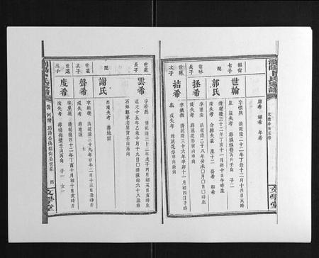 湖南卜氏族谱-浏阳卜氏家谱[16卷首1卷].pdf电子版插图4