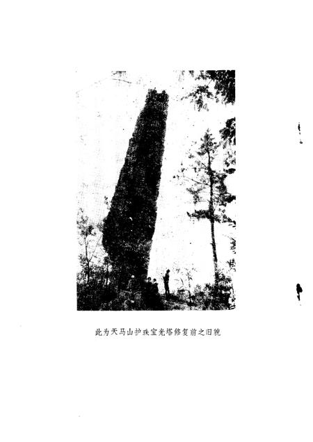 1987-松江文史  第8辑  松江文物·古迹·园林·建筑等选编.pdf电子版_上海市志插图2