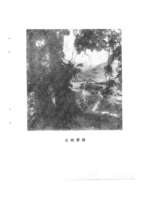 1988版铜陵文史资料选编  第4辑.pdf电子版_安徽省志插图2