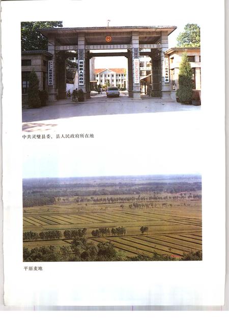 1991版灵璧县志.pdf电子版_安徽省志插图2