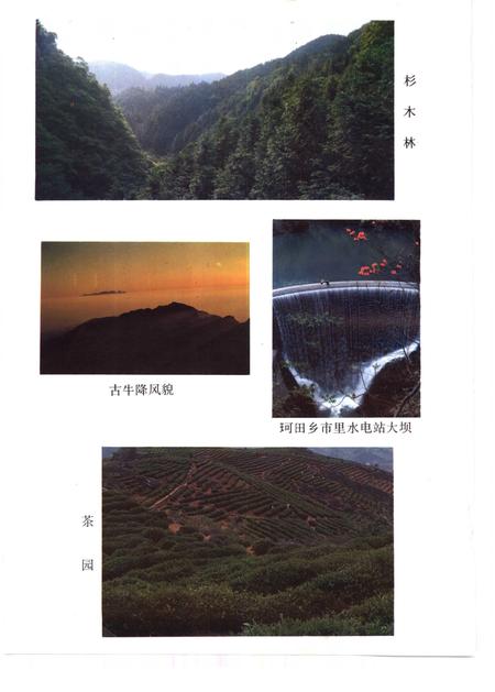 1991版石台县志.pdf电子版_安徽省志插图2