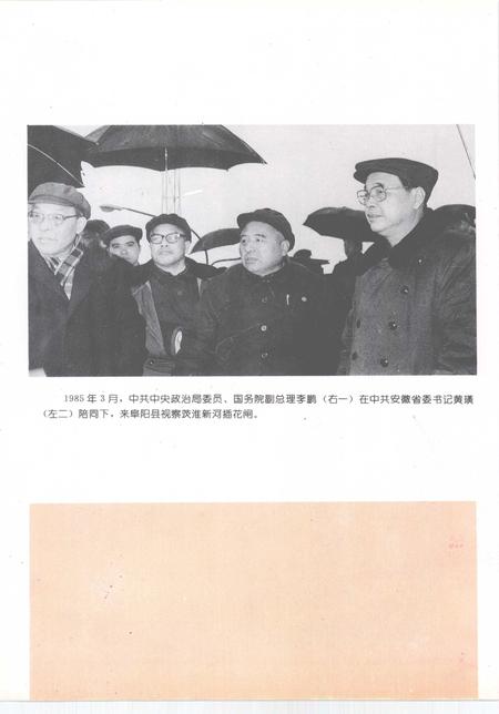 1994版阜阳县志.pdf电子版_安徽省志插图2