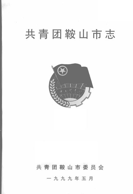 1999-共青团鞍山市志.pdf电子版_辽宁省志插图2