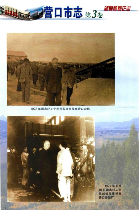 2001-营口市志  第3卷  工业  综合管理  外经外贸.pdf电子版_辽宁省志插图2