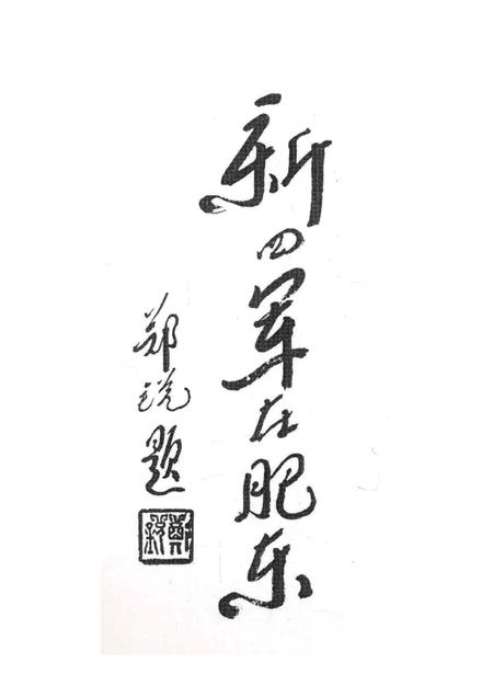 2005版新四军在肥东  第2辑.pdf电子版_安徽省志插图2