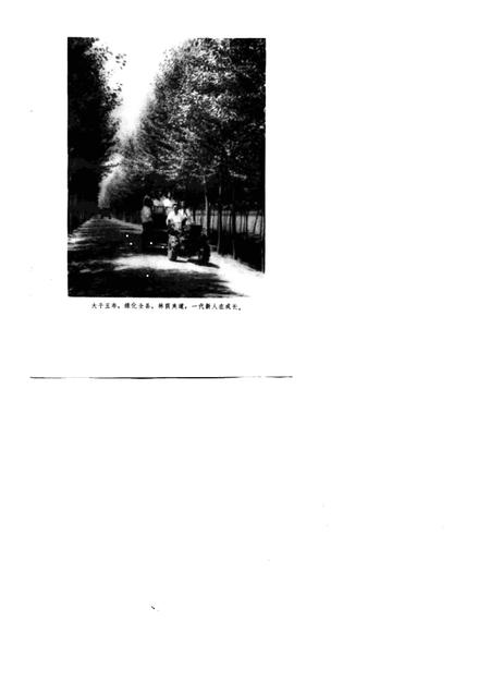 1976版农业学大寨先进典型  涡阳大地披绿装.pdf电子版_安徽省志插图2