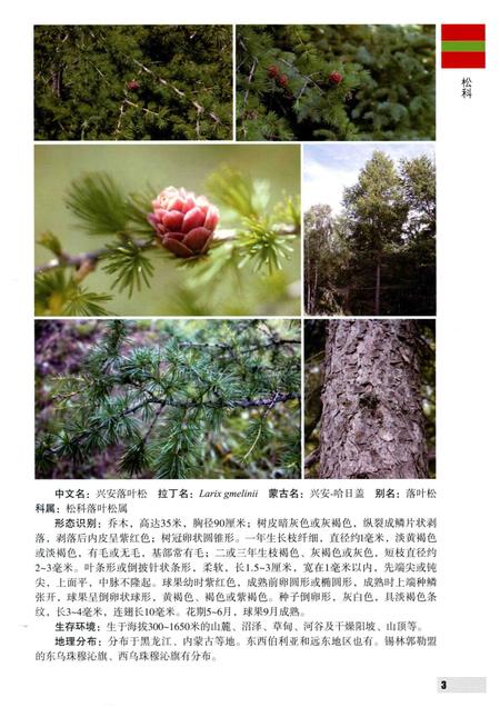 2016-内蒙古自治区锡林郭勒盟木本植物图鉴.pdf电子版_内蒙古志插图2