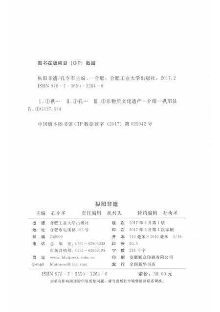 2017版枞阳非遗.pdf电子版_安徽省志插图2