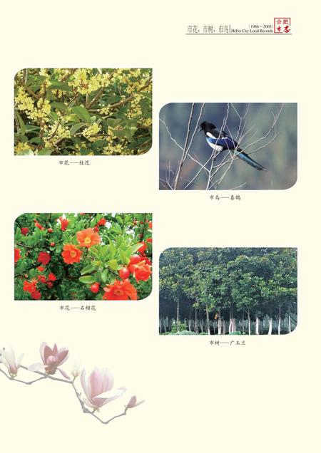 合肥市志(1986-2005)上.pdf电子版_安徽省志插图2