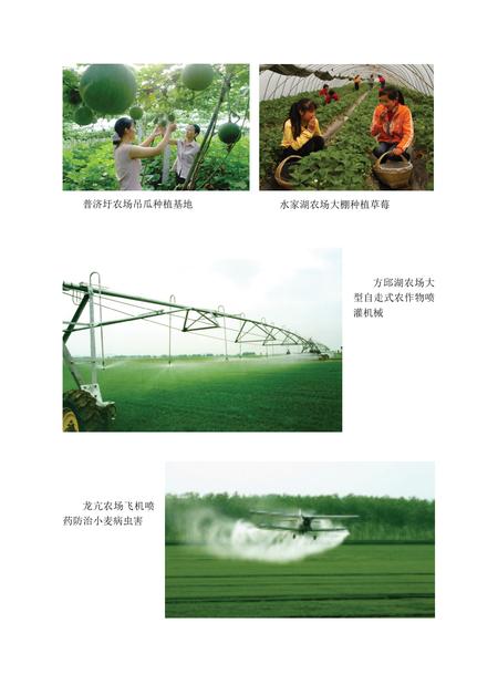 安徽省志农垦志.pdf电子版_安徽省志插图2