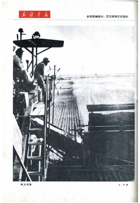 新疆画报1962年第06期.pdf电子版_新疆维吾尔族自治区志插图2