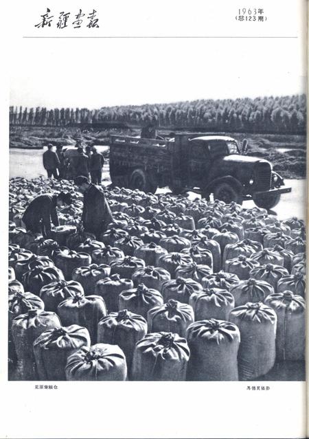 新疆画报1963年第06期.pdf电子版_新疆维吾尔族自治区志插图1