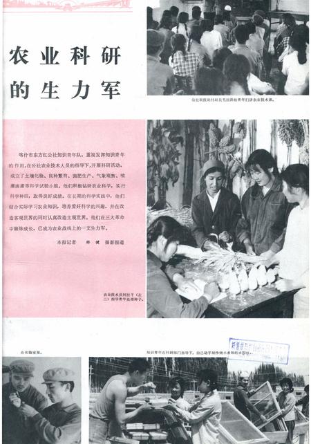 新疆画报1979年第03期.pdf电子版_新疆维吾尔族自治区志插图2