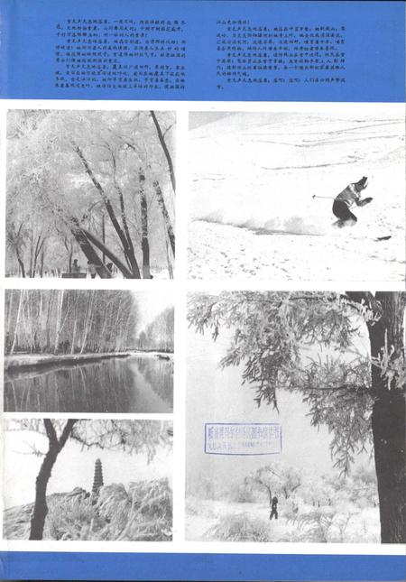 新疆画报1981年第02期.pdf电子版_新疆维吾尔族自治区志插图2