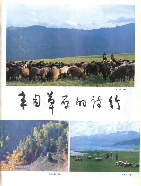 新疆画报1986年第05期.pdf电子版_新疆维吾尔族自治区志插图2