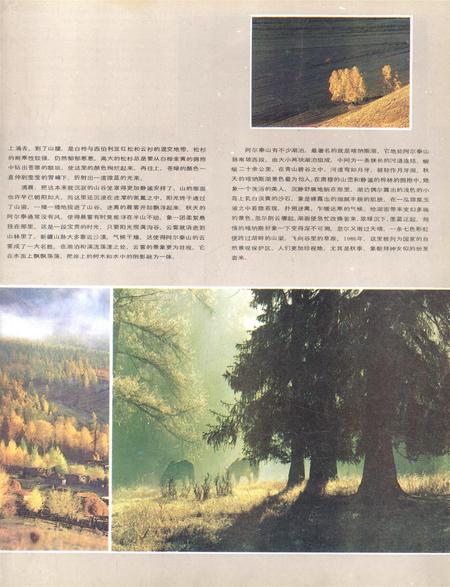 新疆画报1987年第01期.pdf电子版_新疆维吾尔族自治区志插图2