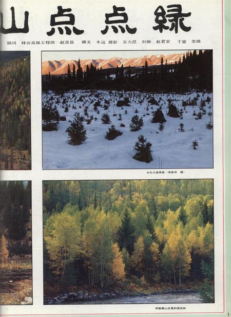 新疆画报1992年第03期.pdf电子版_新疆维吾尔族自治区志插图2