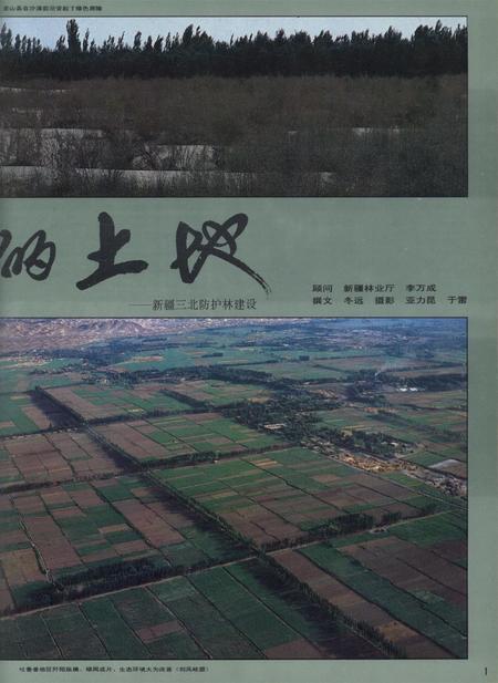 新疆画报1992年第04期.pdf电子版_新疆维吾尔族自治区志插图2