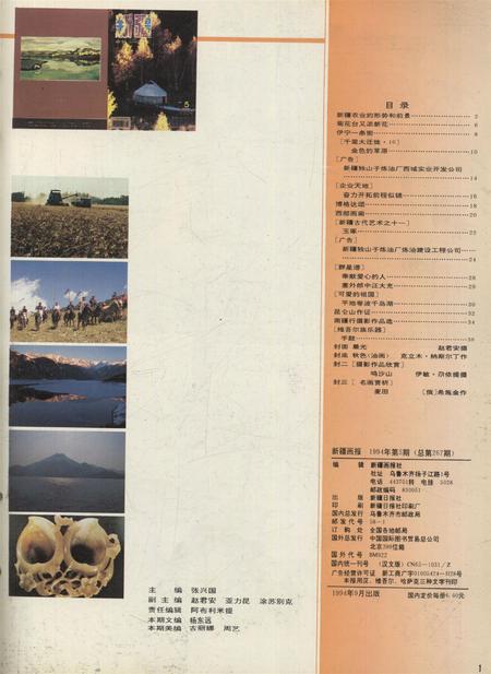 新疆画报1994年第05期.pdf电子版_新疆维吾尔族自治区志插图2