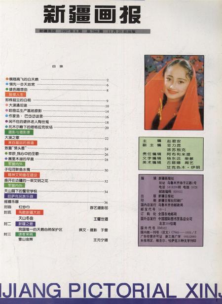 新疆画报1997年第06期.pdf电子版_新疆维吾尔族自治区志插图2