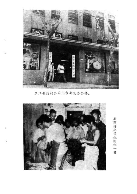 1986版庐江县药志.pdf电子版_安徽省志插图3