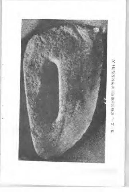 1987-汾阳文史资料  第3辑.pdf电子版_山西省志插图3