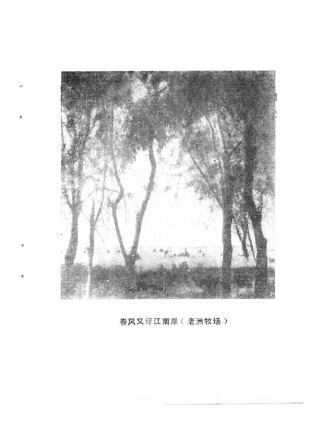 1988版铜陵文史资料选编  第4辑.pdf电子版_安徽省志插图3