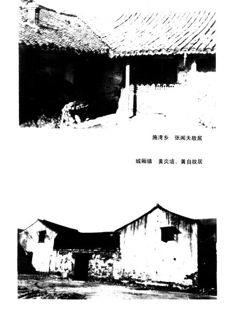 1989-川沙县文化志.pdf电子版_上海市志插图3