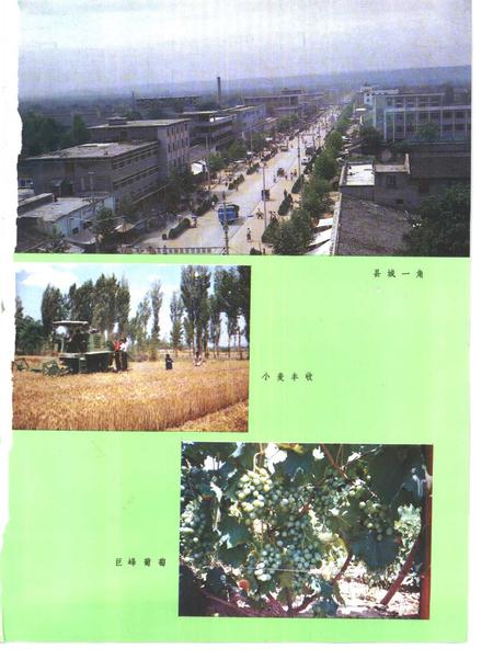 1989-河津县志.pdf电子版_山西省志插图3