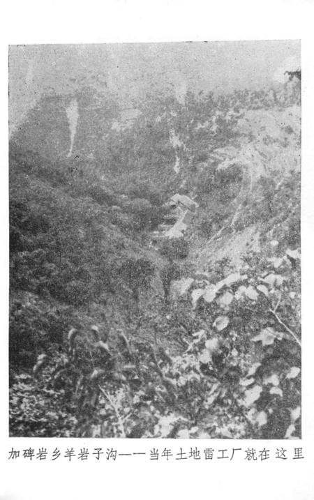 1989-绥中地方党史资料  2  凌青绥抗日游击根据地.pdf电子版_辽宁省志插图3