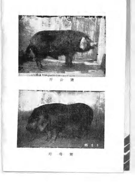 1989版南陵县文史资料  第9辑.pdf电子版_安徽省志插图3