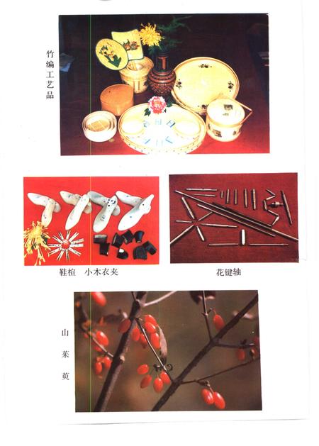 1991版石台县志.pdf电子版_安徽省志插图3