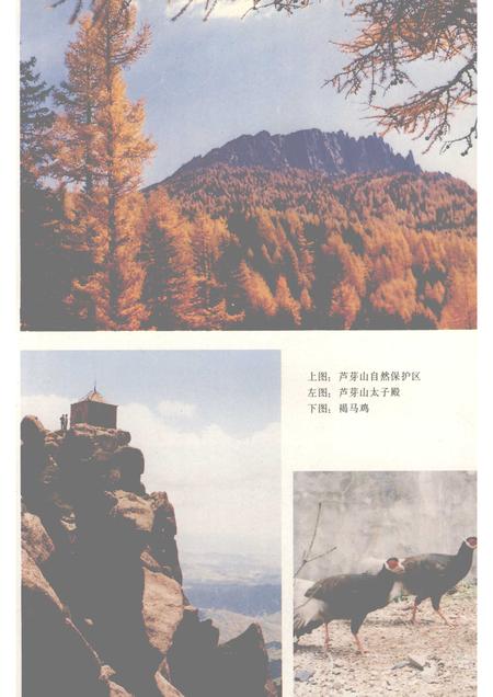 1992-五寨县志.pdf电子版_山西省志插图3