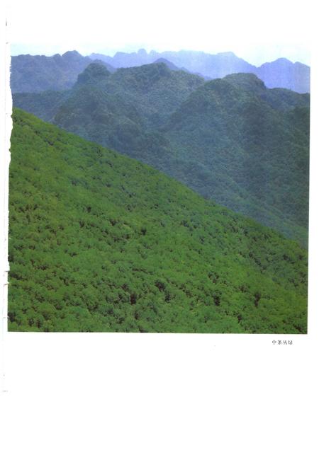 1992-山西通志  第9卷  林业志.pdf电子版_山西省志插图3