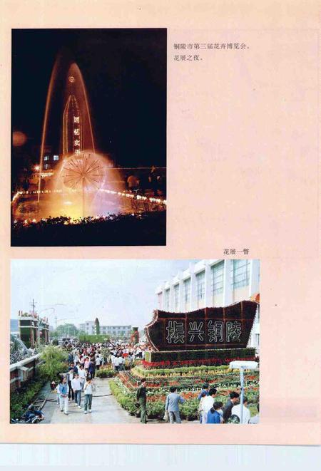 1993版铜陵年鉴  1992.pdf电子版_安徽省志插图3