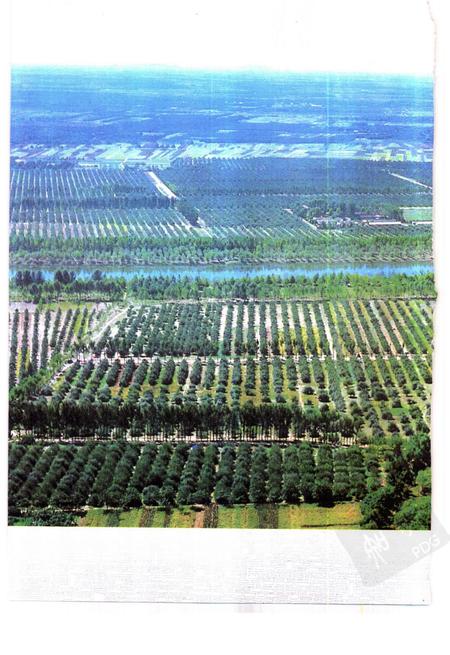 1995版宿县地区志.pdf电子版_安徽省志插图3