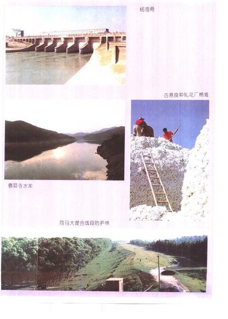 1995版望江县志.pdf电子版_安徽省志插图3