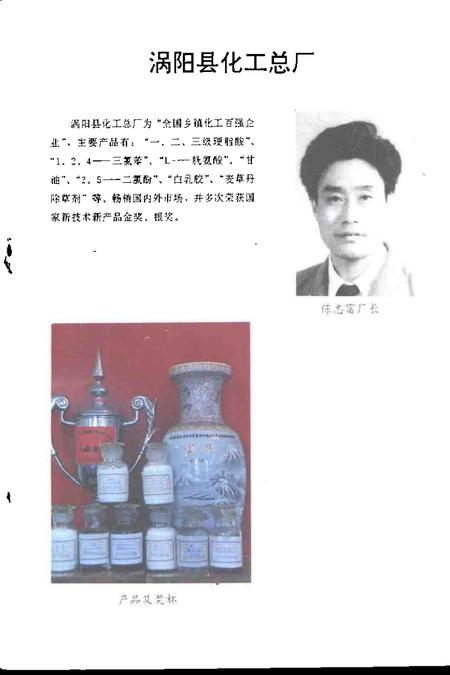 1995版江淮文史  阜阳在腾飞.pdf电子版_安徽省志插图3