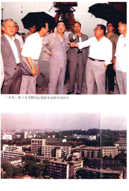 1995版芜湖市志  上.pdf电子版_安徽省志插图3