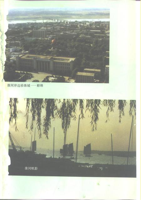 1995版蚌埠市志.pdf电子版_安徽省志插图3