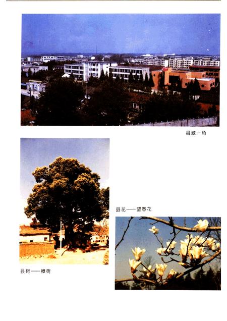 1996版怀宁县志.pdf电子版_安徽省志插图3