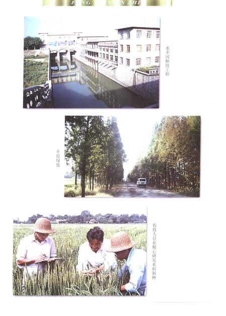 1998版凤台县志.pdf电子版_安徽省志插图3